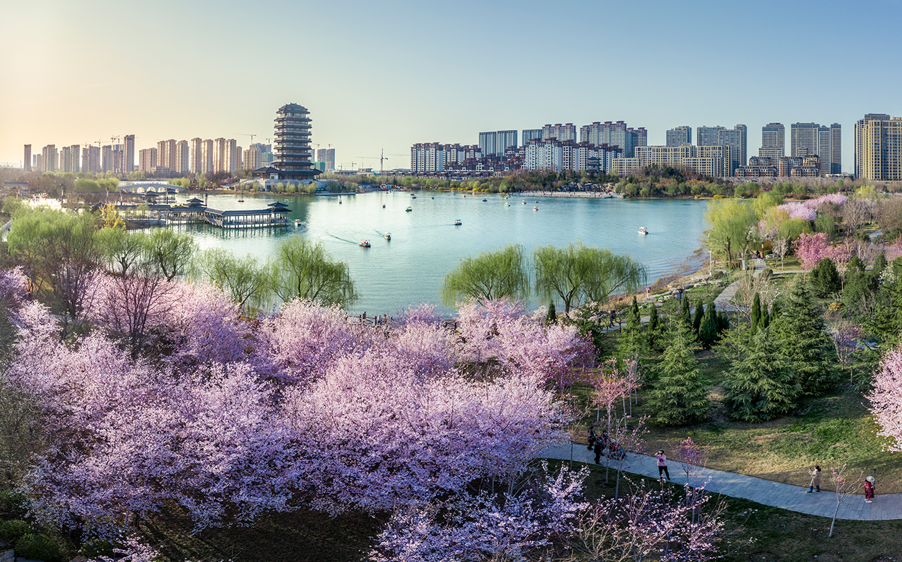 淄博市齐盛湖公园-通宝游戏