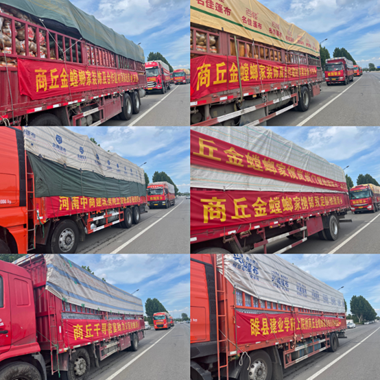 通宝游戏·tb888(中国)游戏官方网站